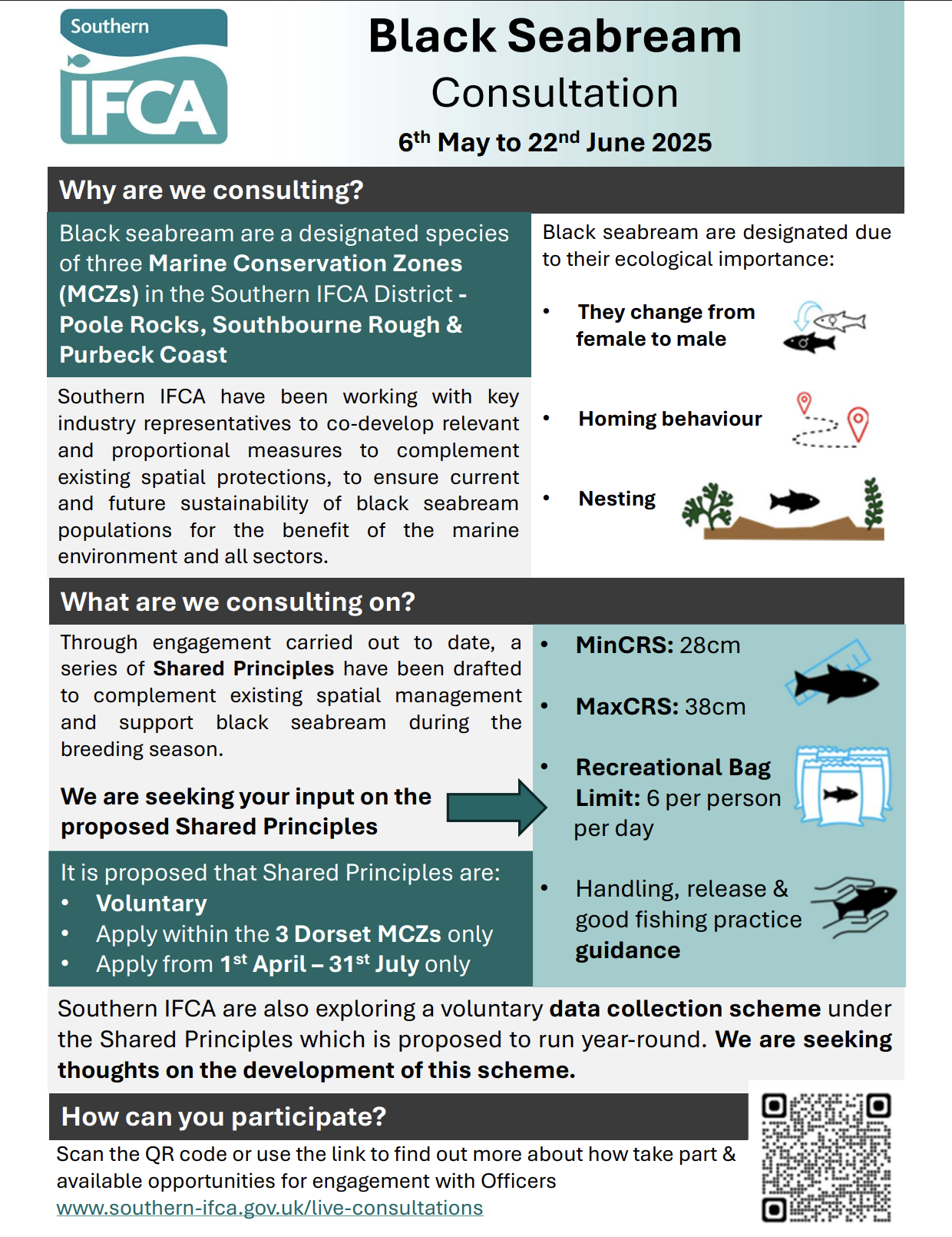 Black Seabream consultation infographic