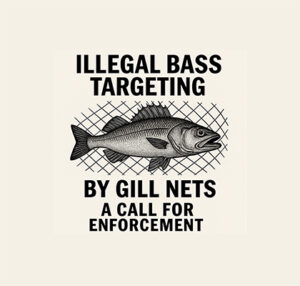 illegal targeting of bass