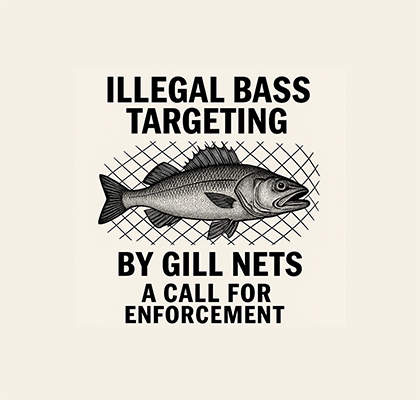 illegal targeting of bass