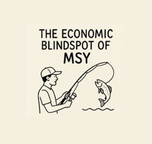 economic blindspot of MSY