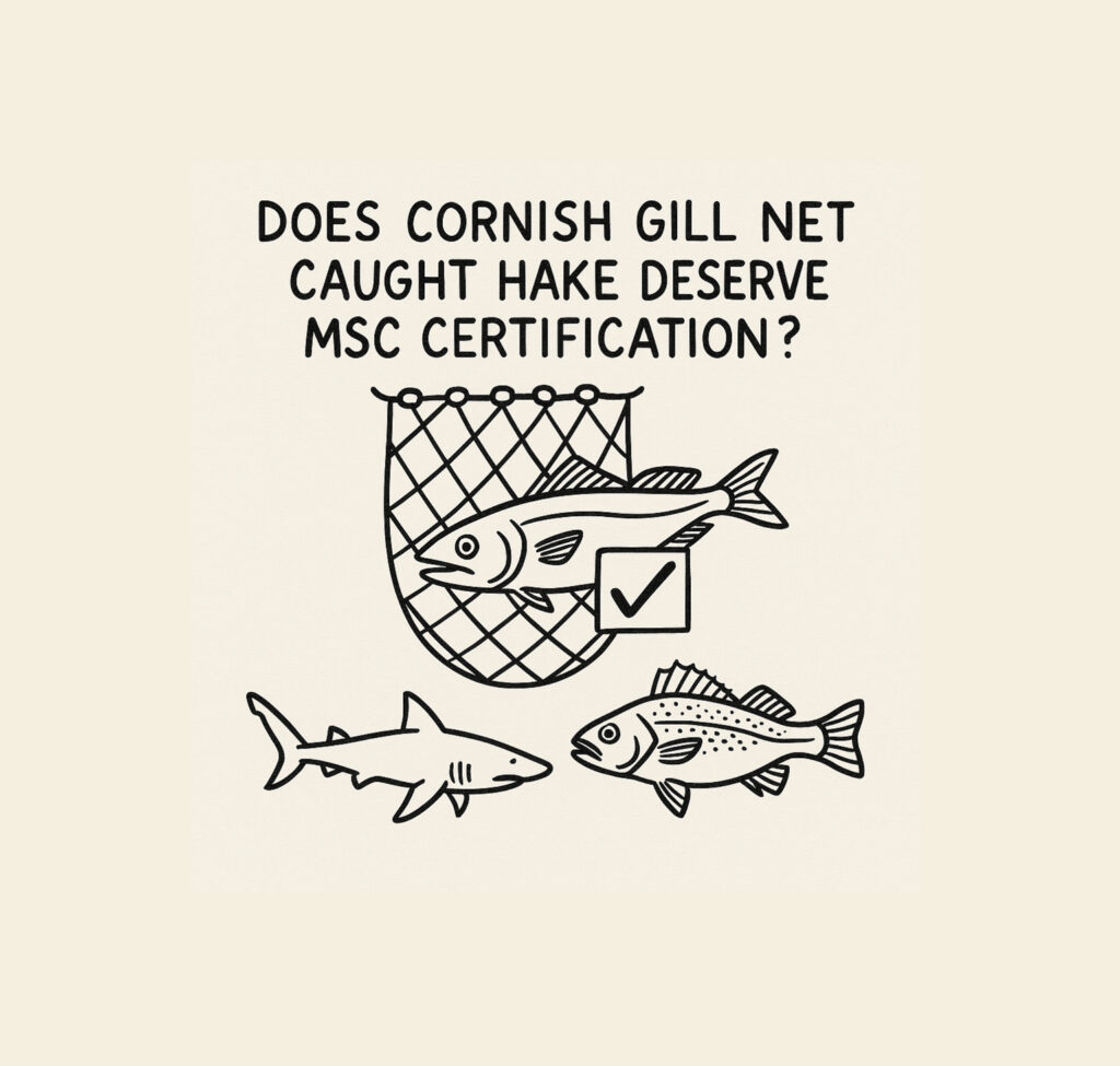 Hake MSC Bycatch