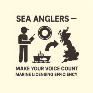 Marine licensing