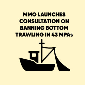 bottom trawling consultation