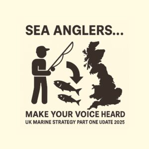 marine strategy
