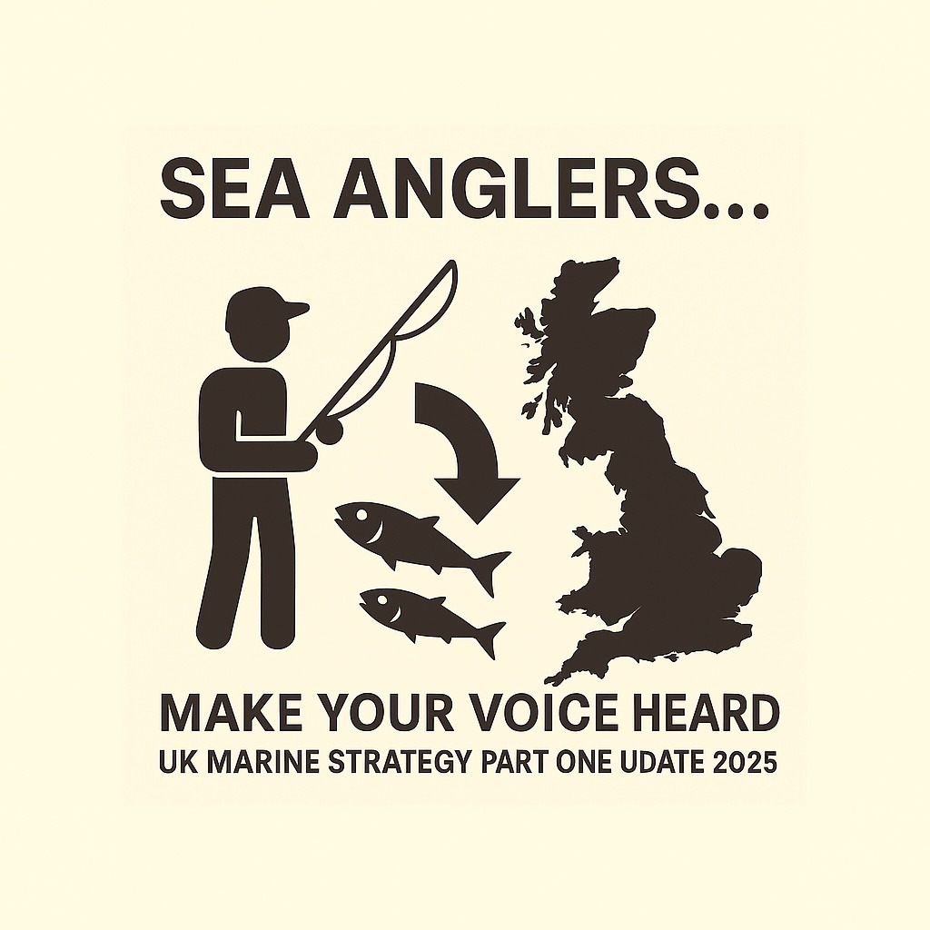 marine strategy