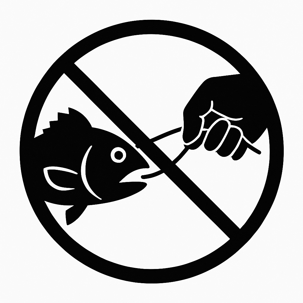 don't pull hooks